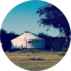 yurt